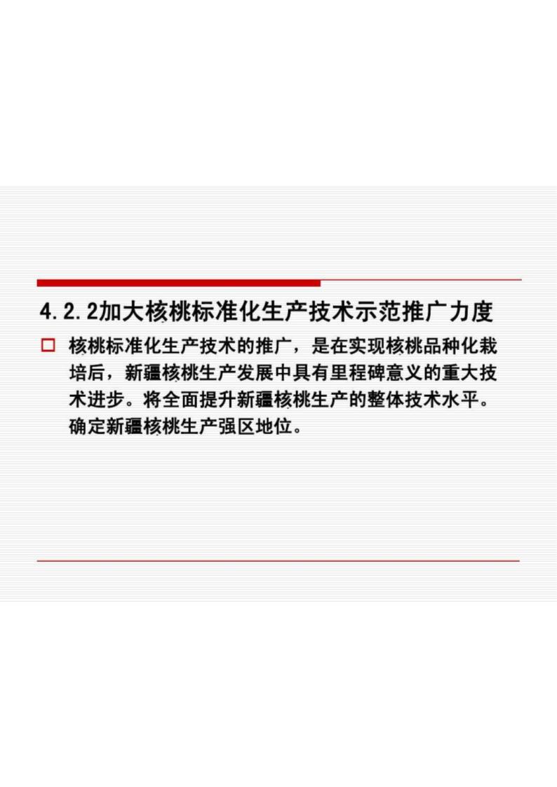 核桃新疆第46页