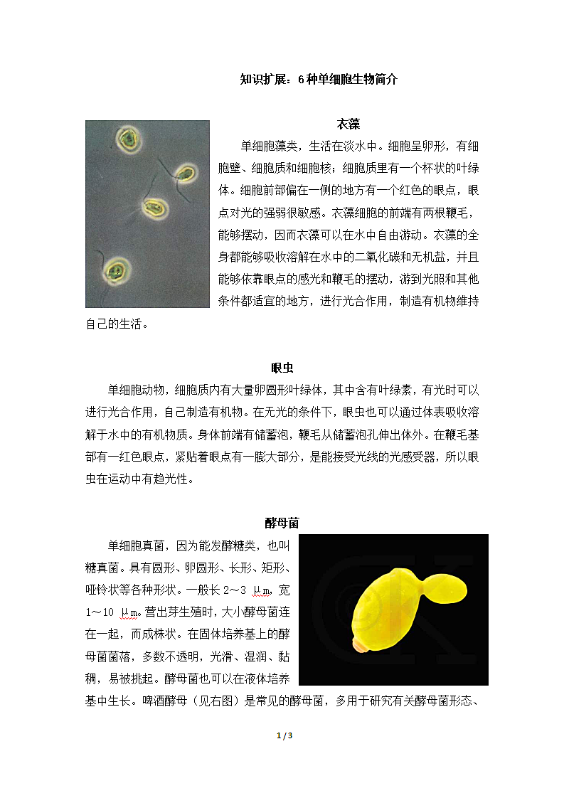 6种单细胞生物简介第1页