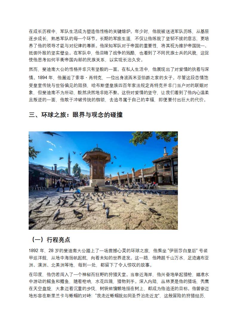 斐迪南大公：一个改变世界走向的关键人物第4页