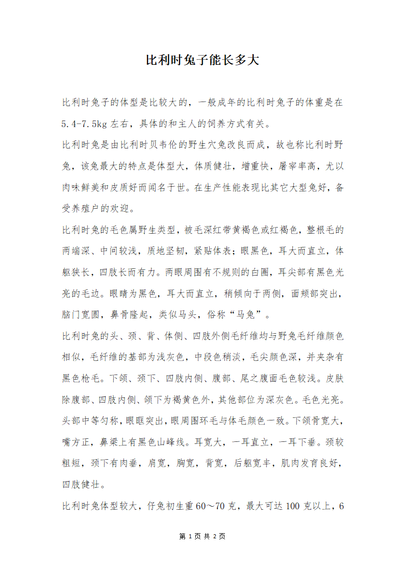 比利时兔子能长多大第1页