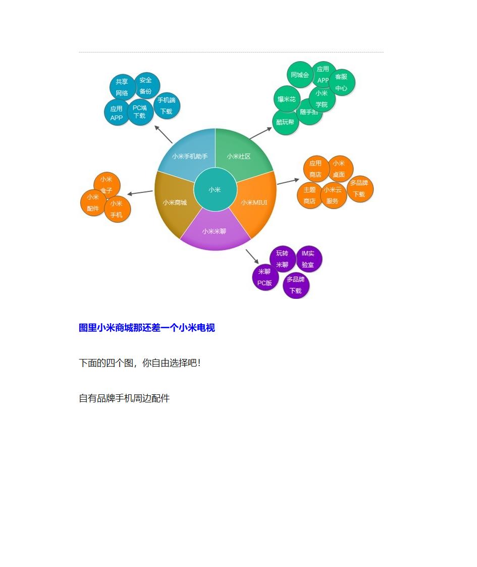 小米手机的差异化战略第2页