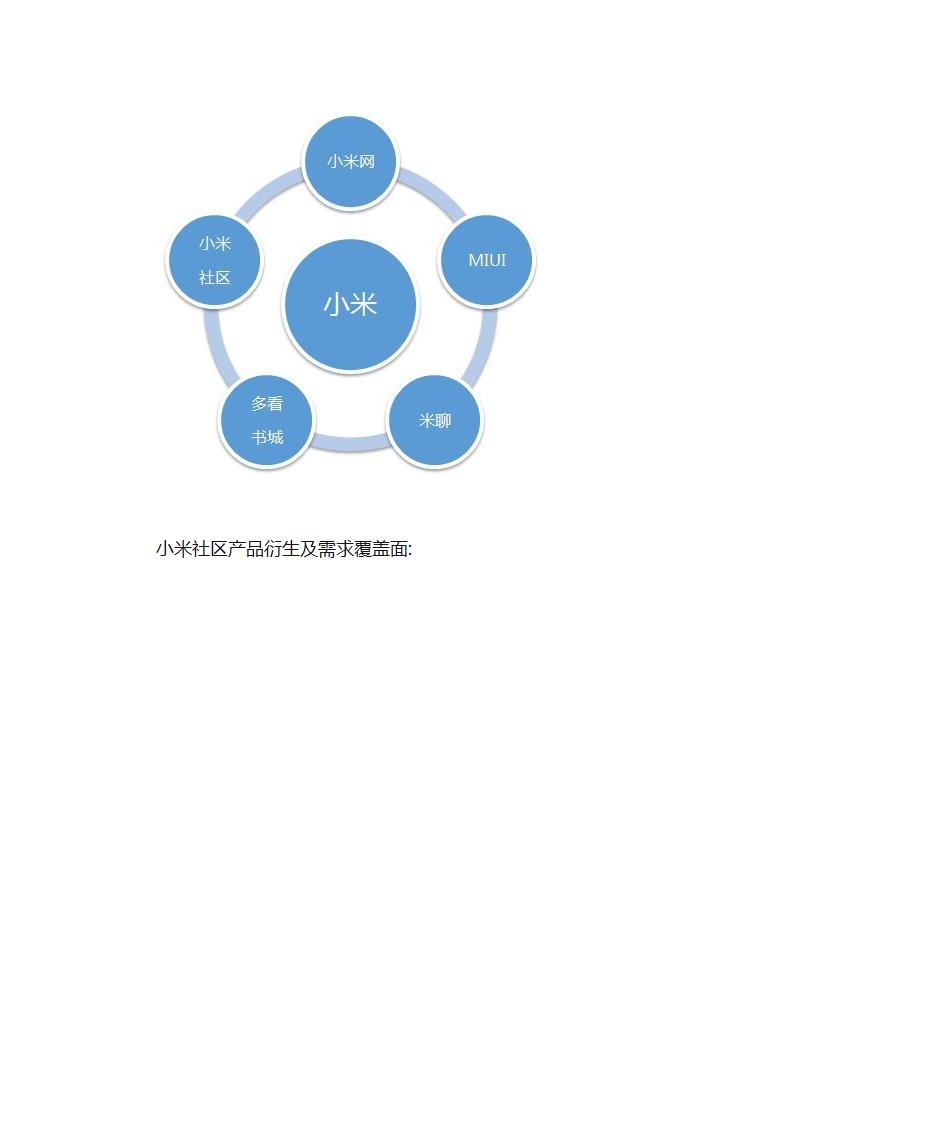 小米手机的差异化战略第5页