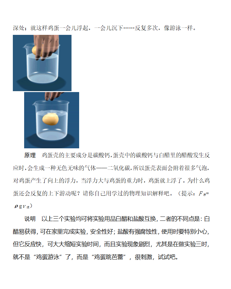 鸡蛋趣味实验五则第3页