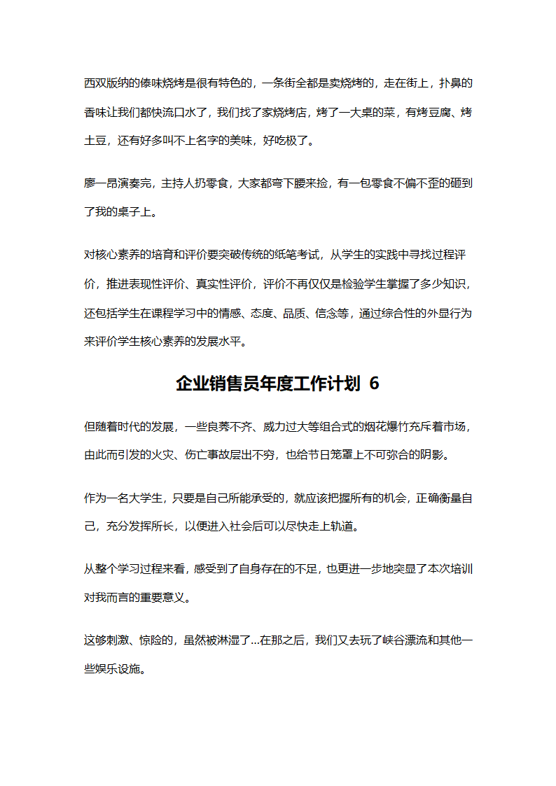 企业销售员年度工作计划第4页