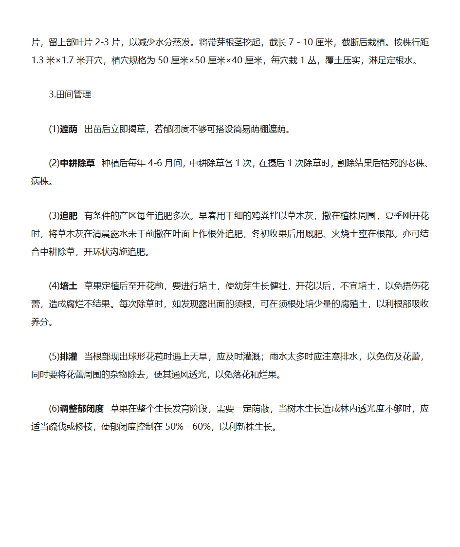 草果栽培技术第2页