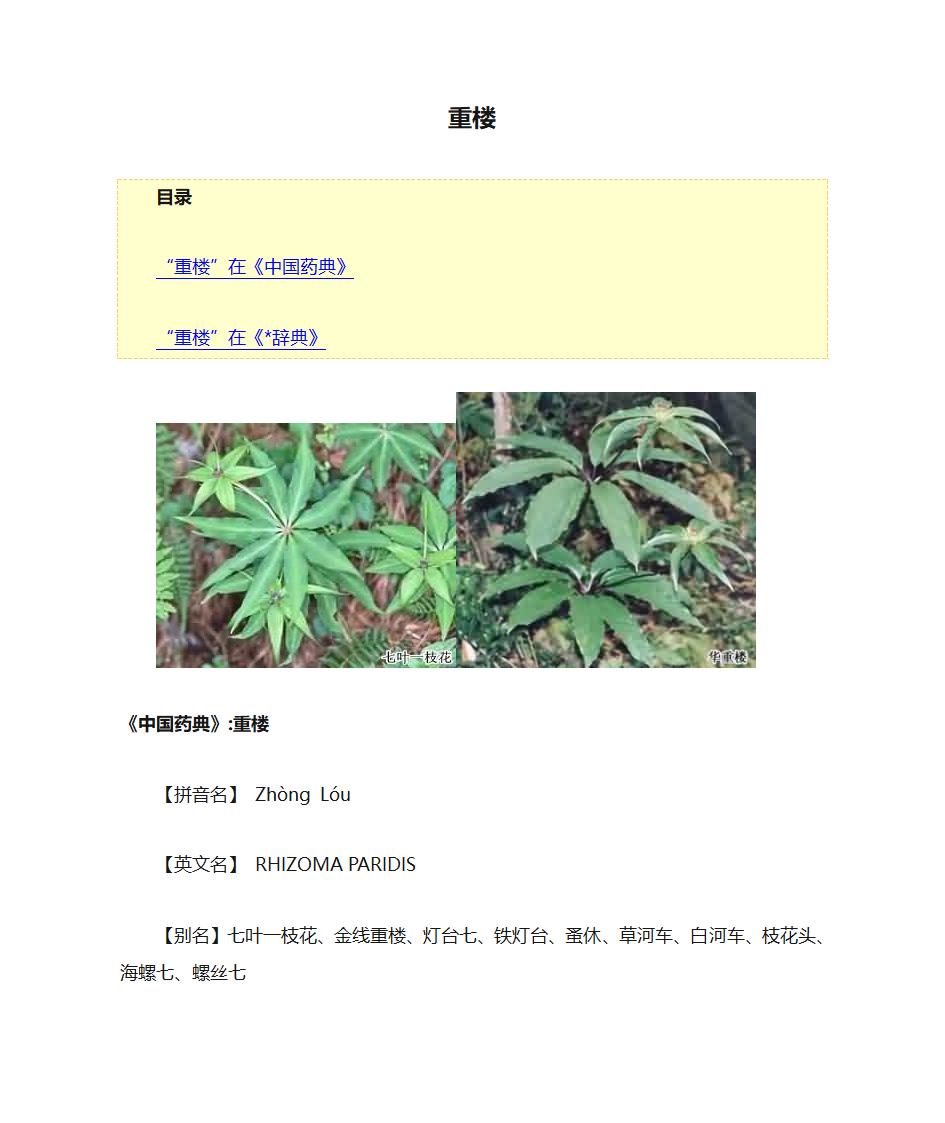 中药  重楼第1页