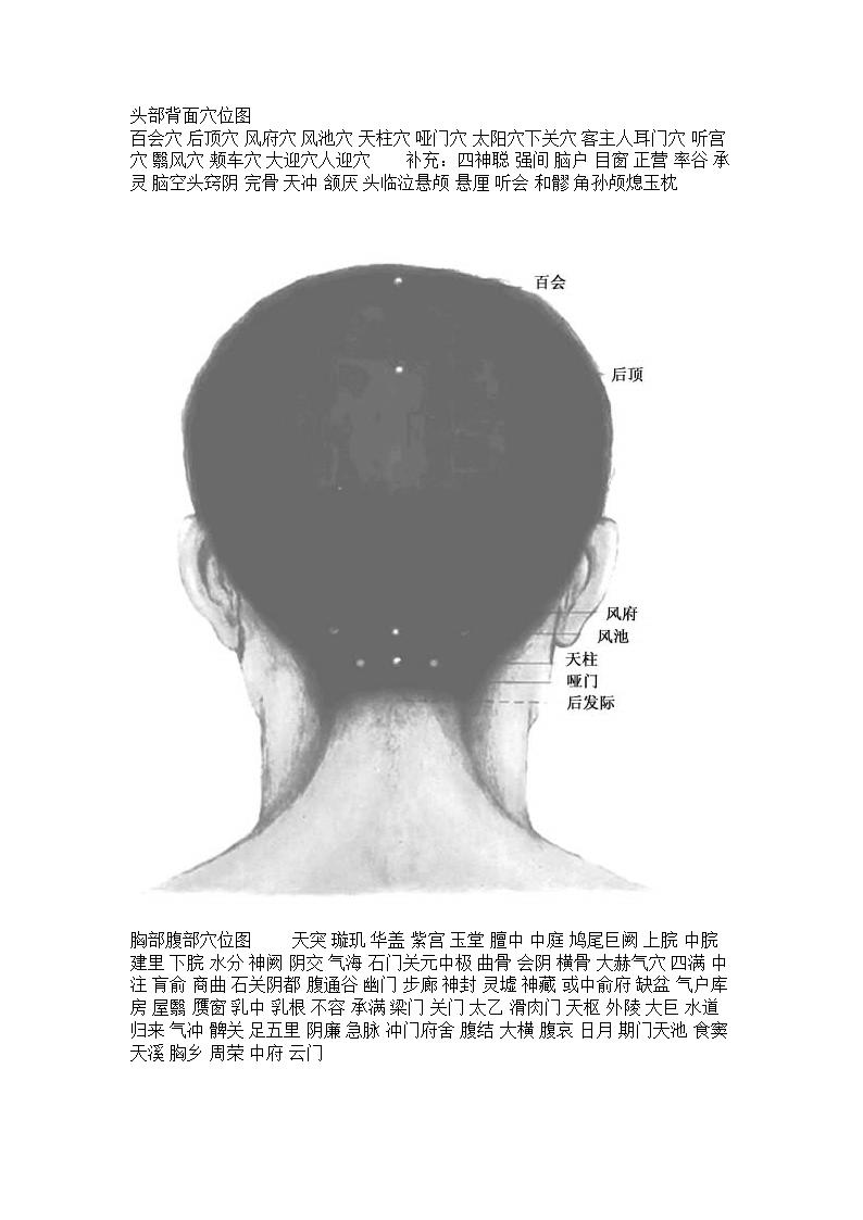 人体穴位图头部穴位图第3页