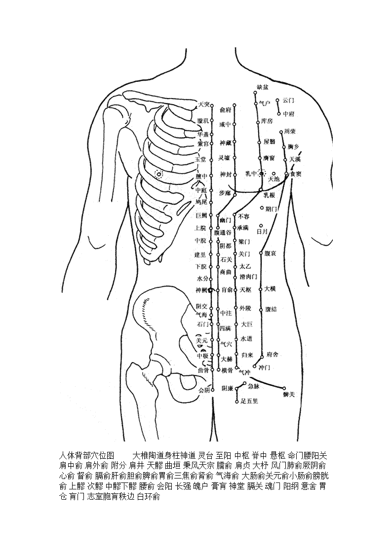 人体穴位图头部穴位图第4页