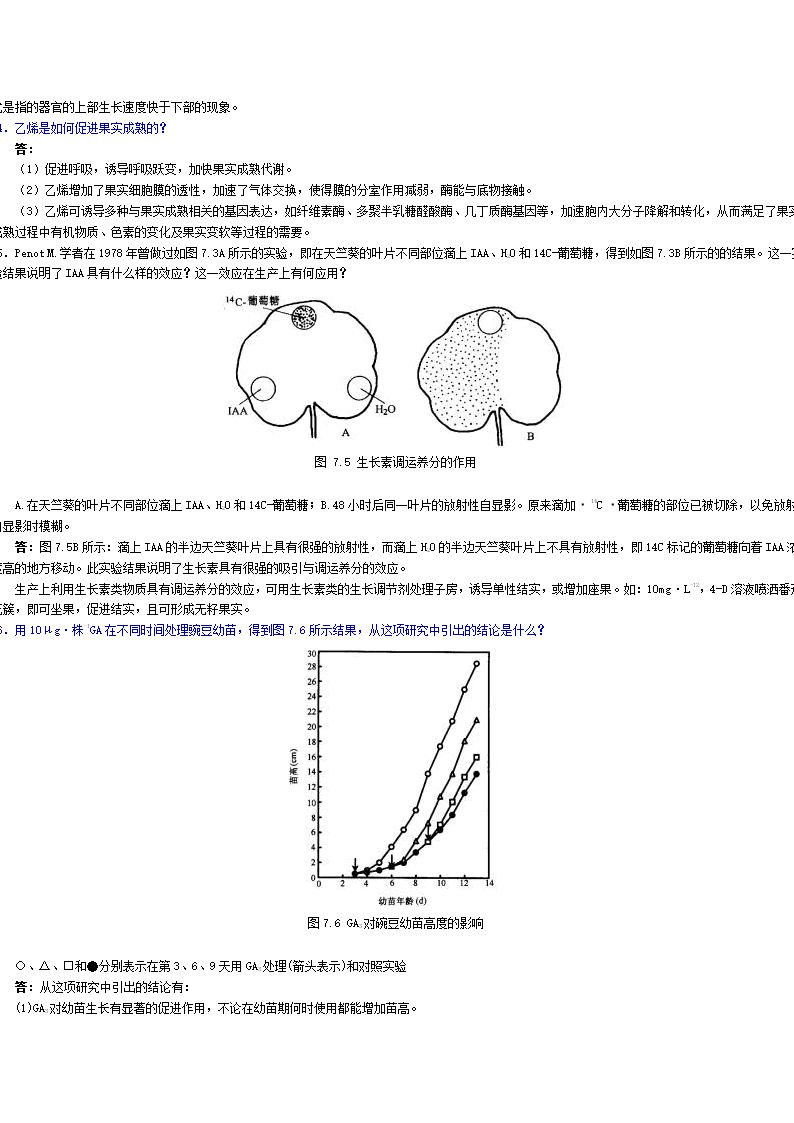 植物生长物质第13页