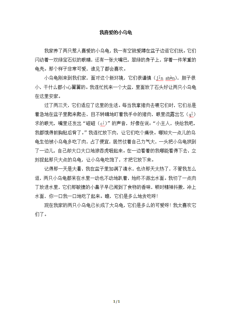 我喜爱的小乌龟