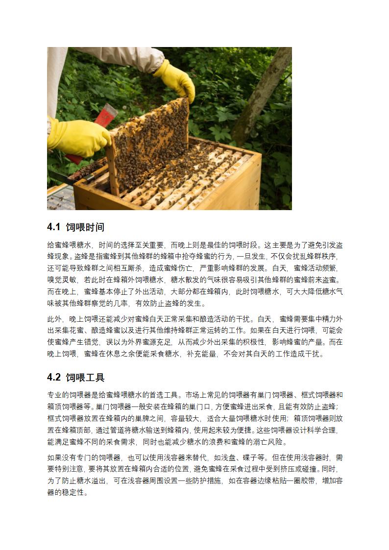 给蜜蜂喂糖水第3页