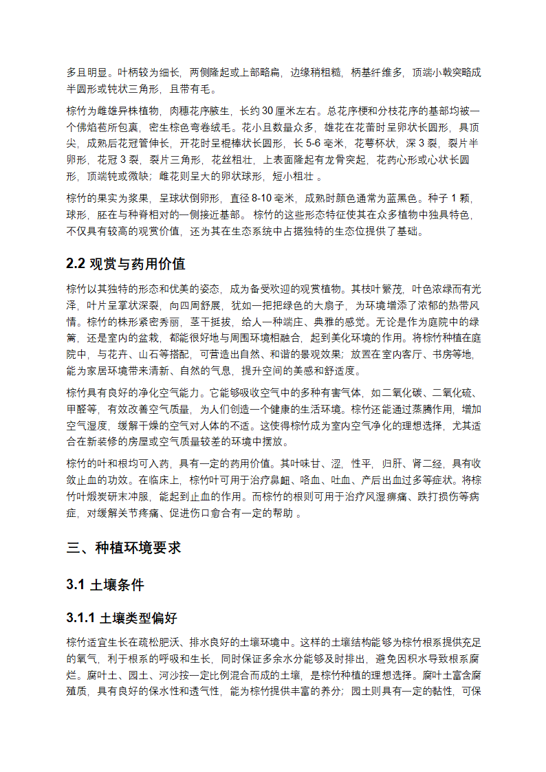 棕竹种植方法深度剖析与实践指导第2页