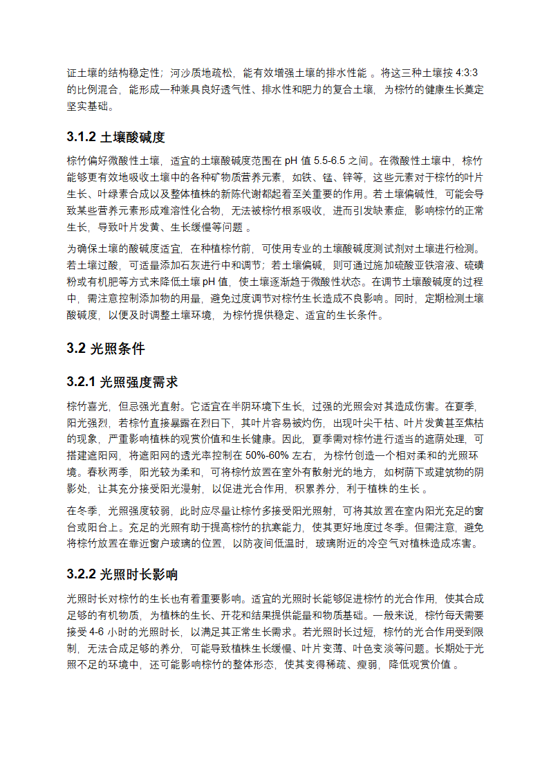 棕竹种植方法深度剖析与实践指导第3页