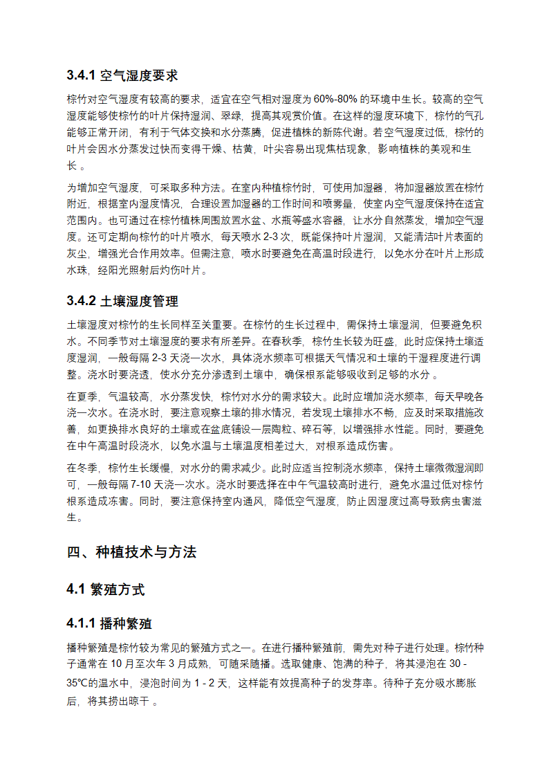 棕竹种植方法深度剖析与实践指导第5页