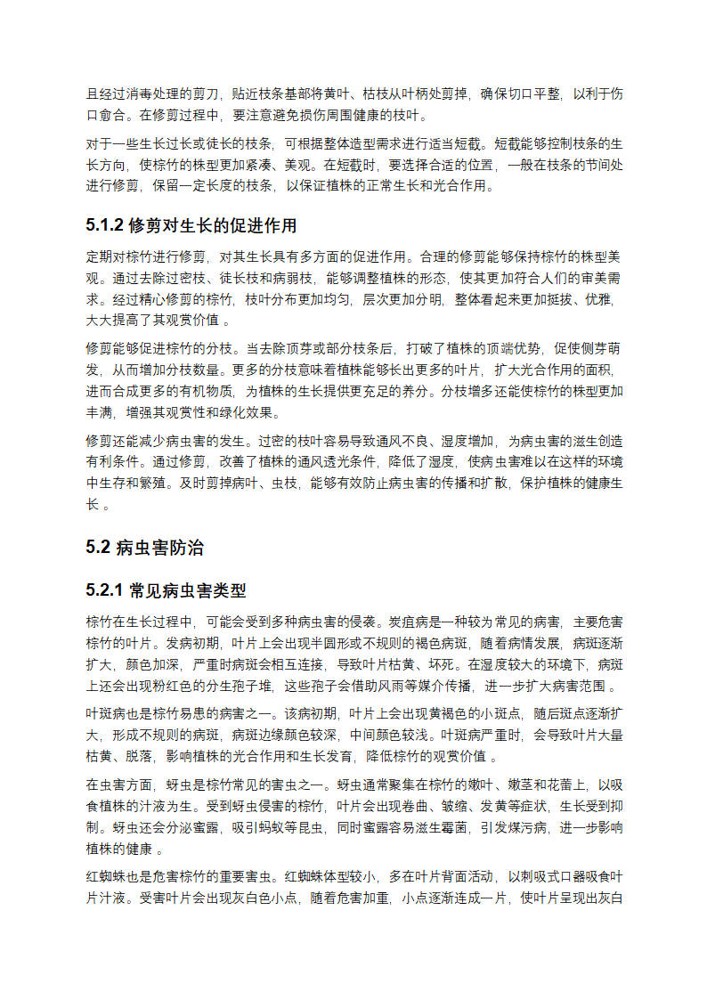 棕竹种植方法深度剖析与实践指导第8页