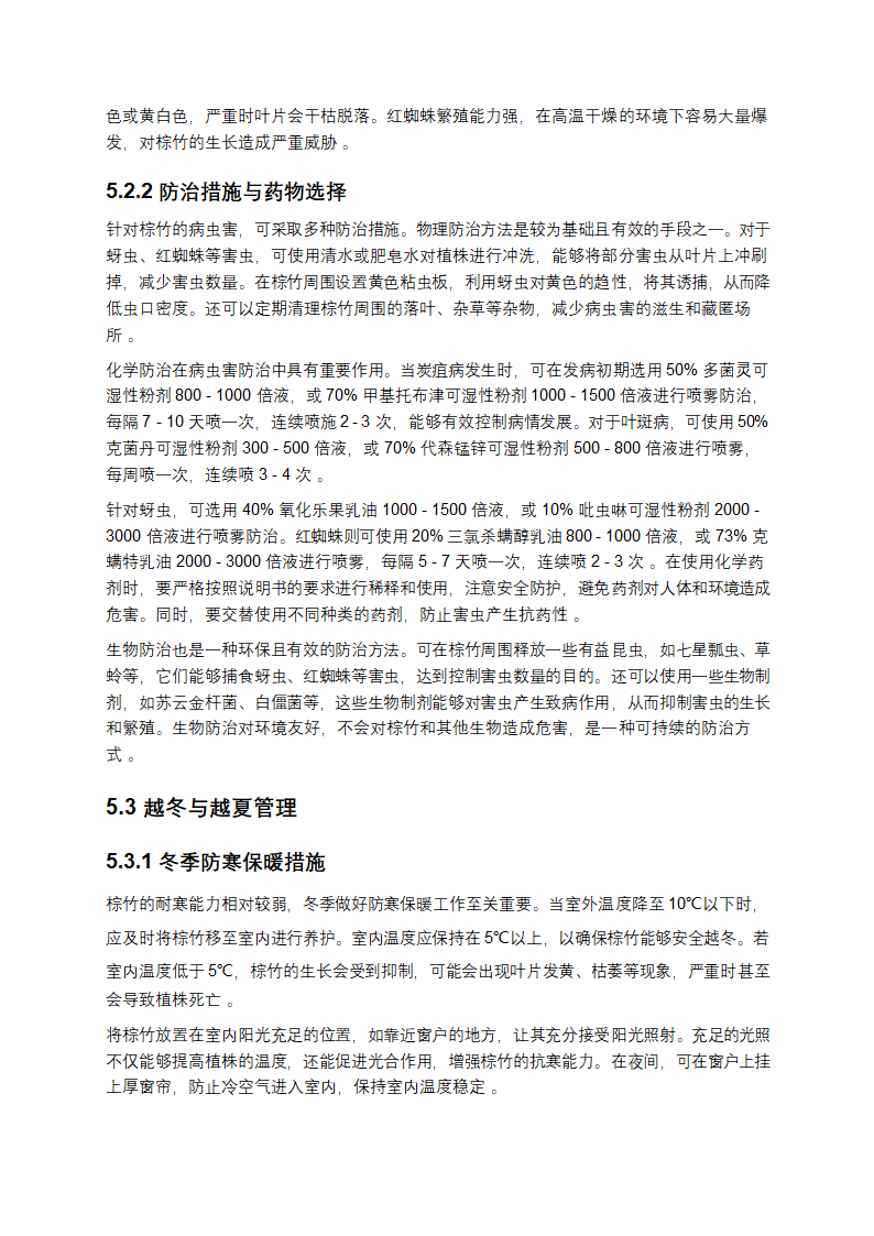 棕竹种植方法深度剖析与实践指导第9页