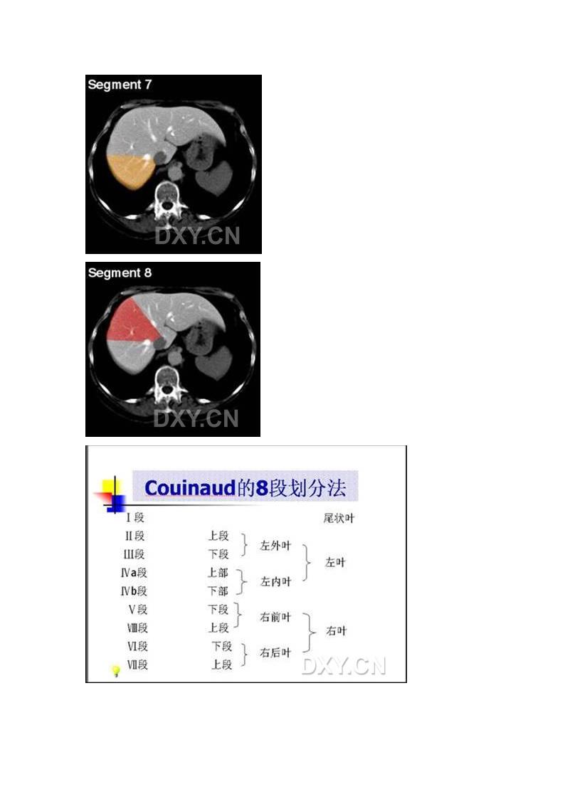 肝脏的CT分段第4页