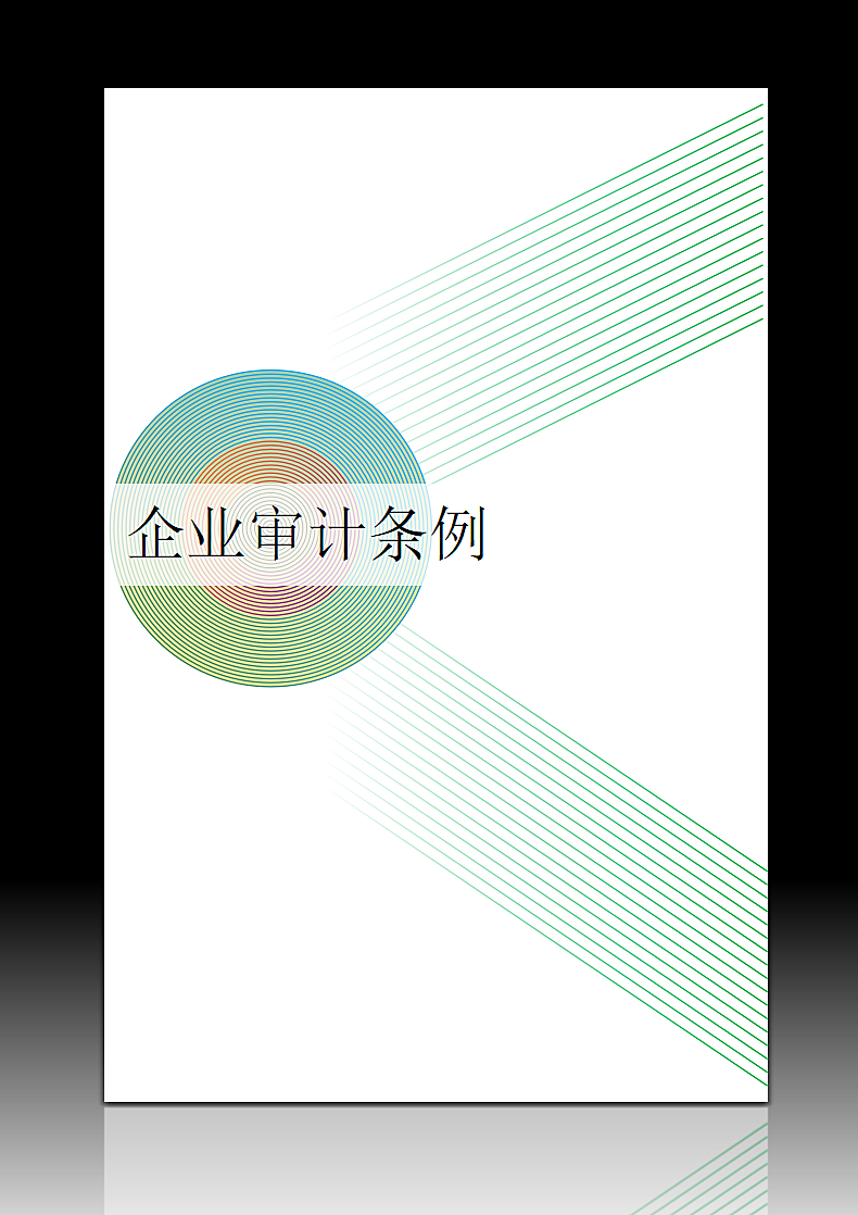 企业审计条例.docx第1页