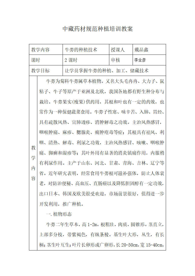 牛蒡子的种植技术