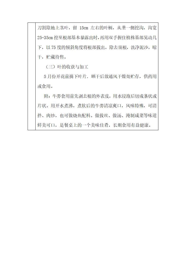 牛蒡子的种植技术第7页