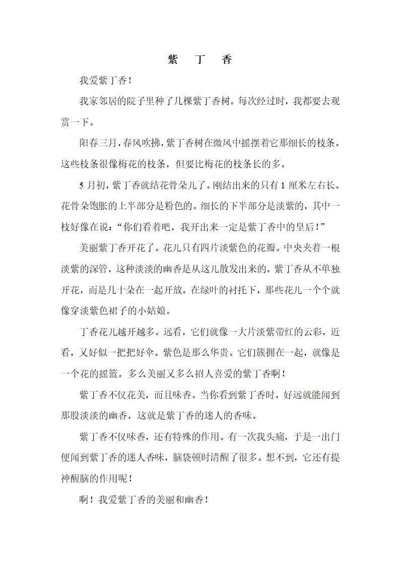 紫丁香第1页