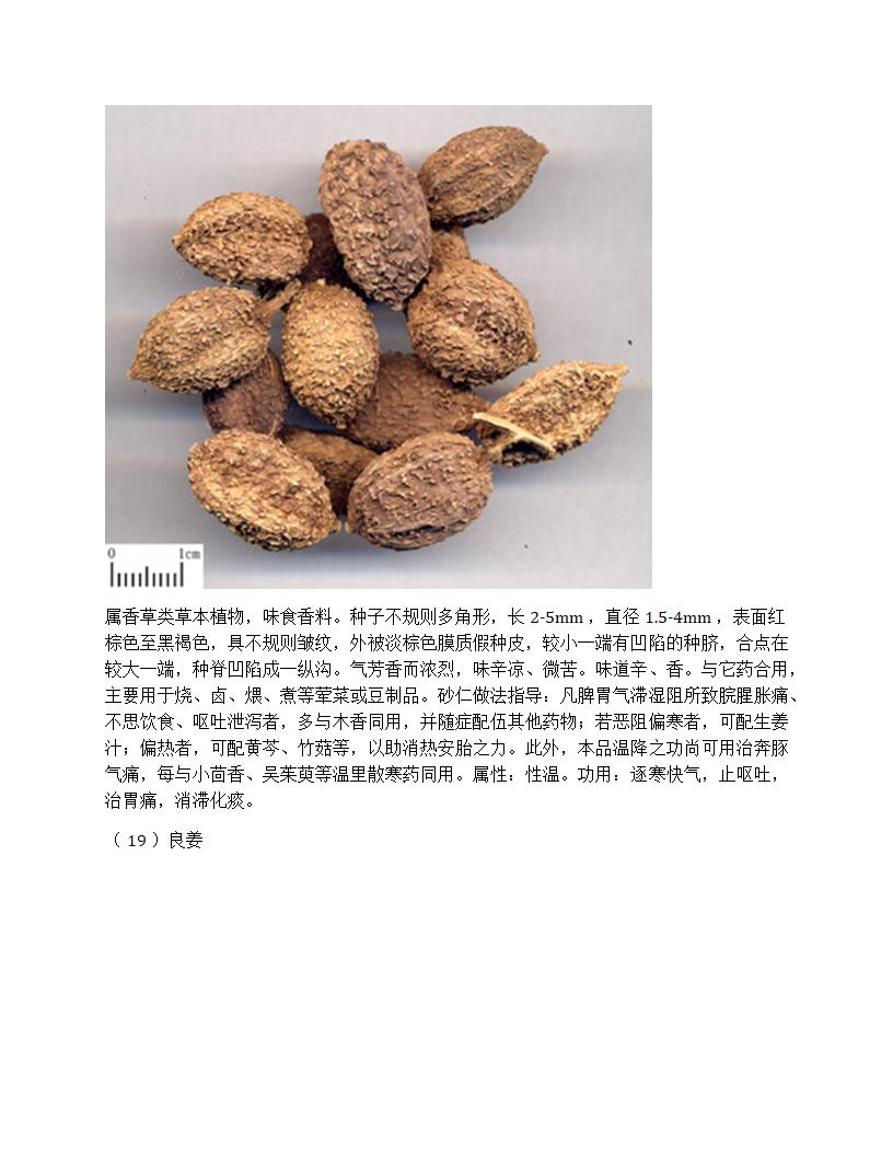 厨房常用中草药香辛料属性及作用第18页