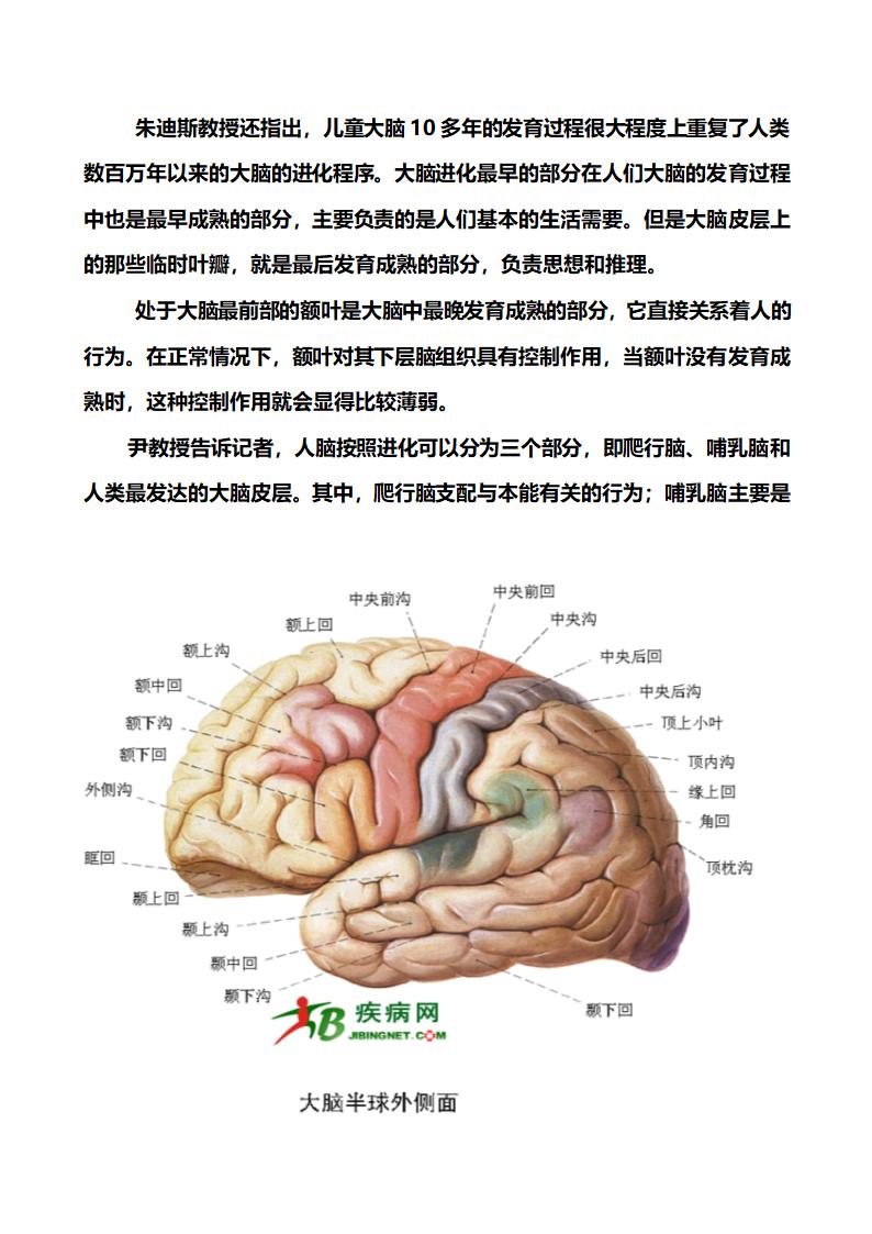 人类大脑潜能探索第4页