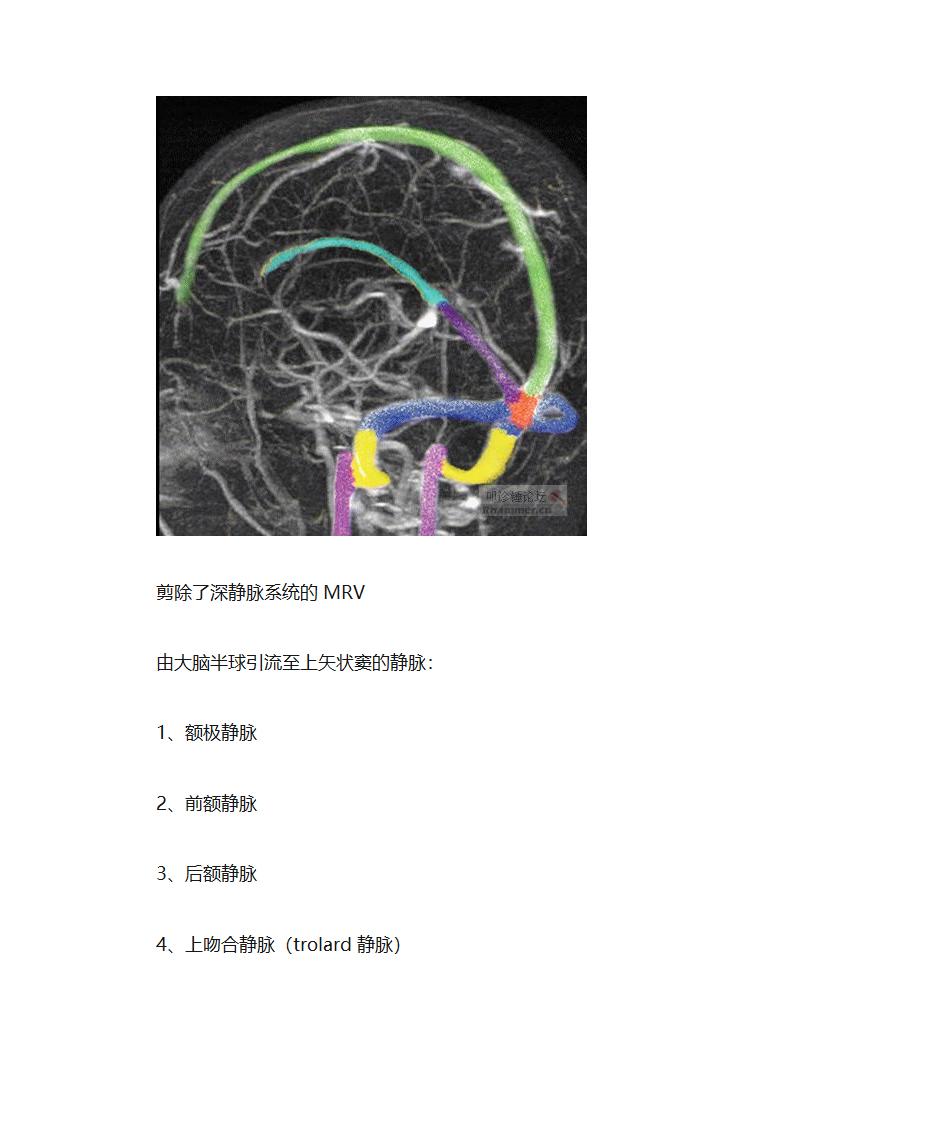 大脑血管解剖第2页