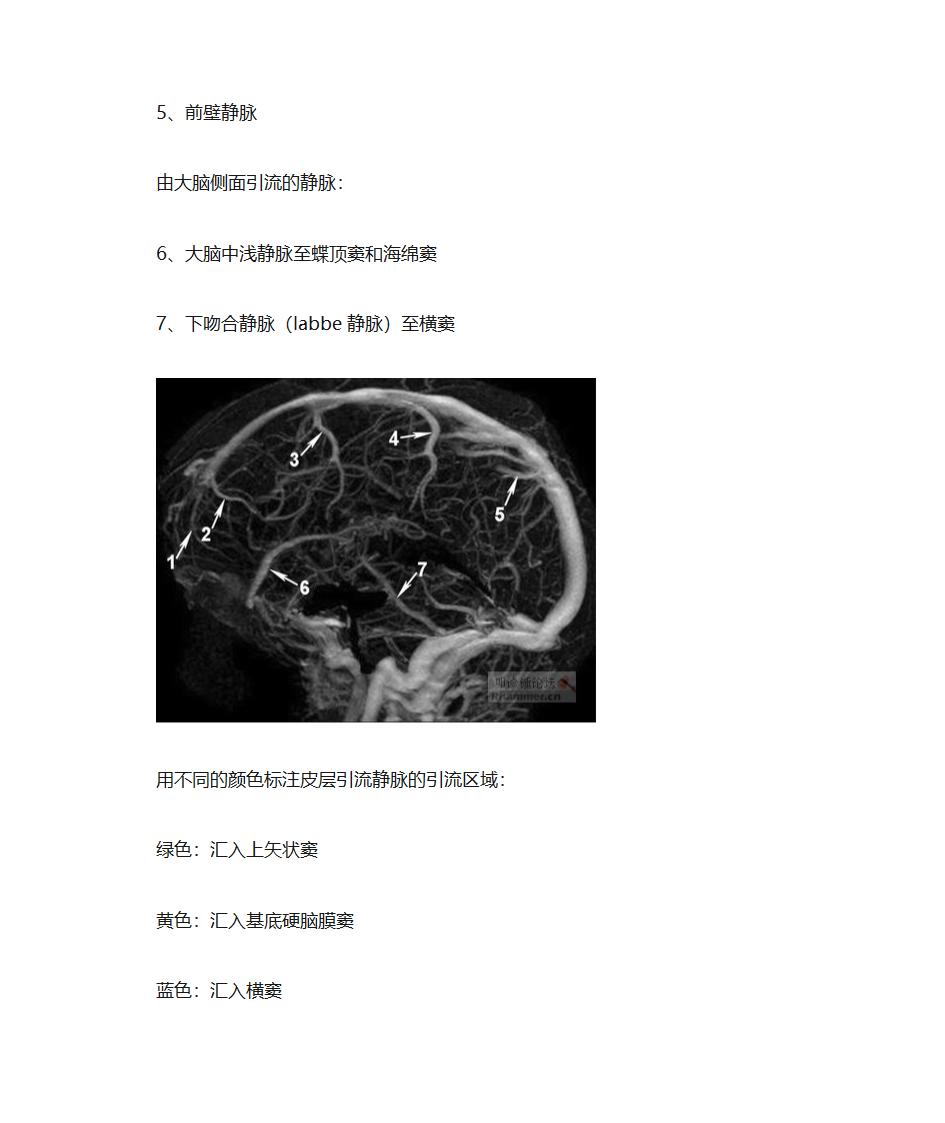 大脑血管解剖第3页