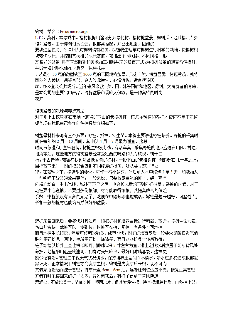 榕树养殖方法第1页