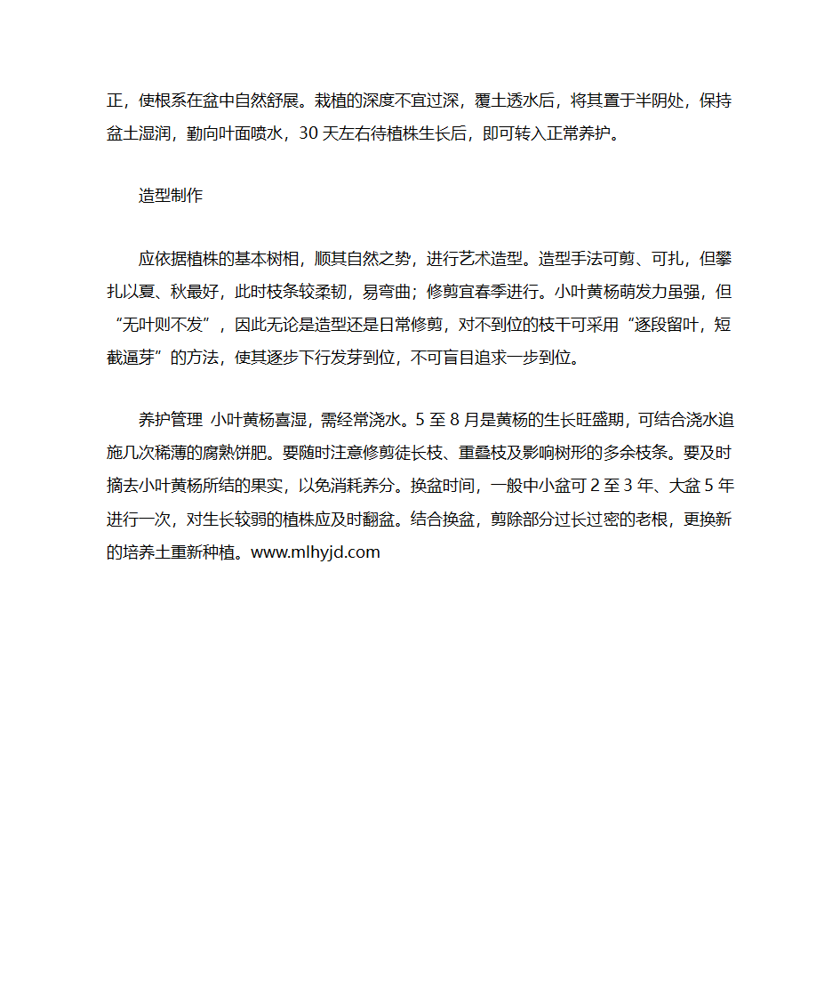 小叶黄杨的种植技术第3页