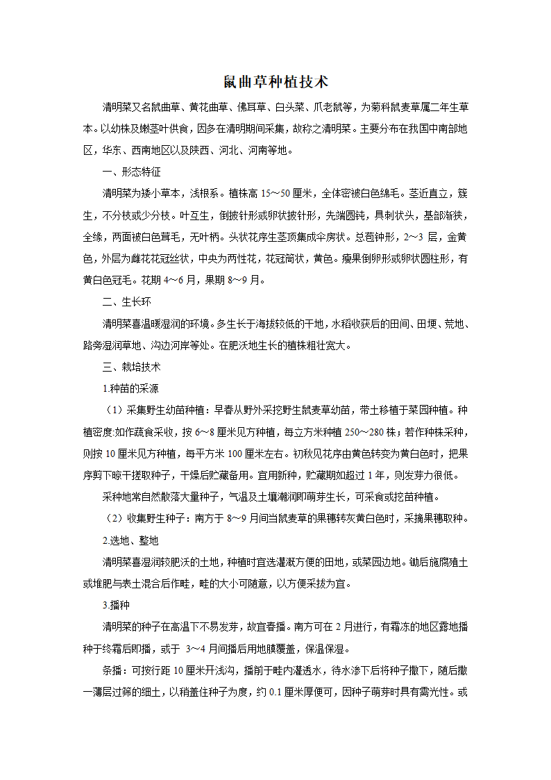 鼠曲草种植技术第1页