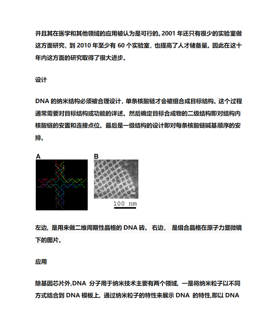 DNA纳米技术第4页