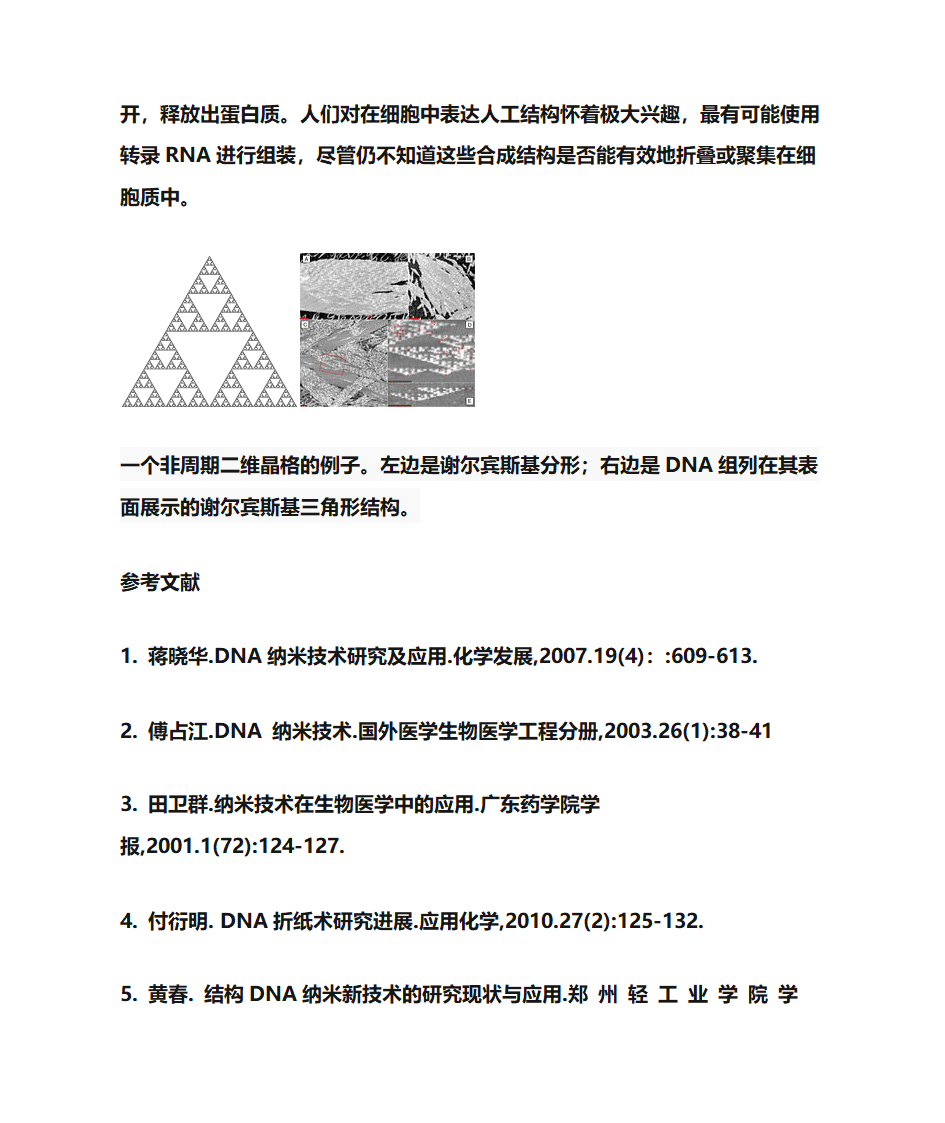 DNA纳米技术第6页