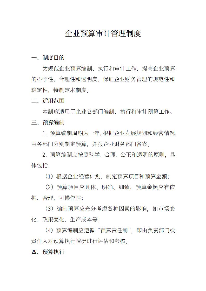 企业预算审计管理制度.docx