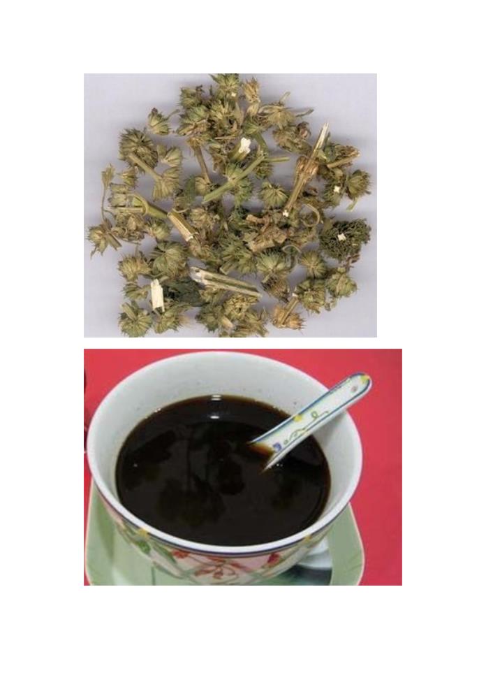 益母草颗粒说明书第3页