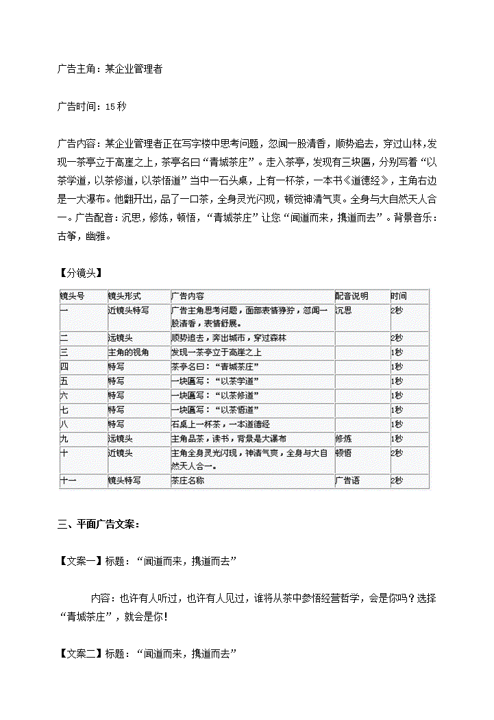 青城道茶长春地区营销策划方案第11页