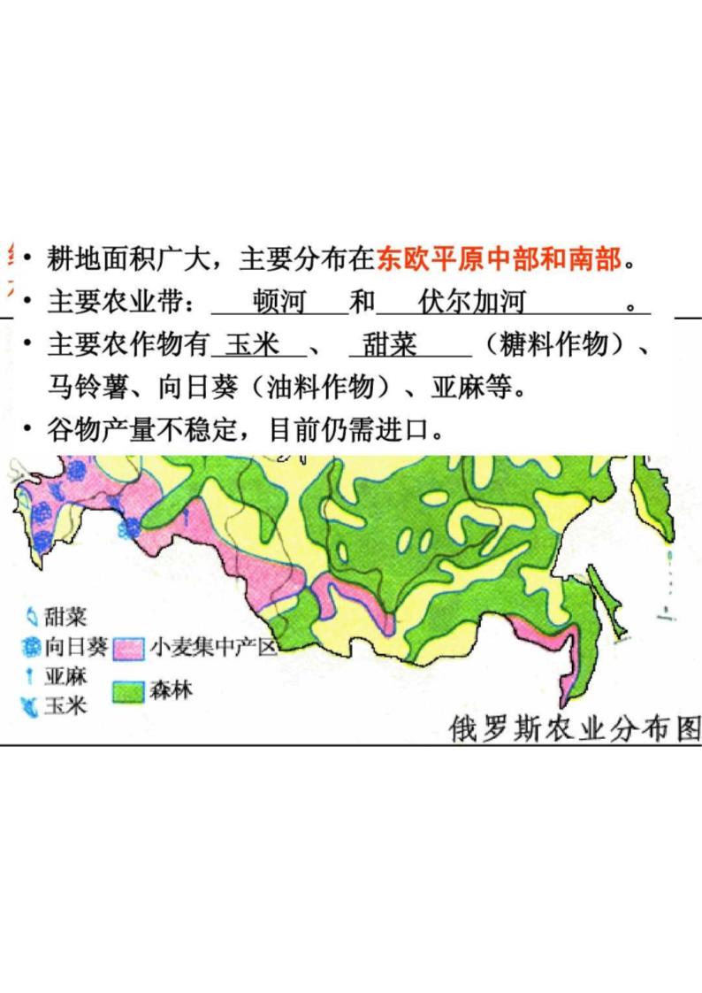 欧洲东部和北第41页