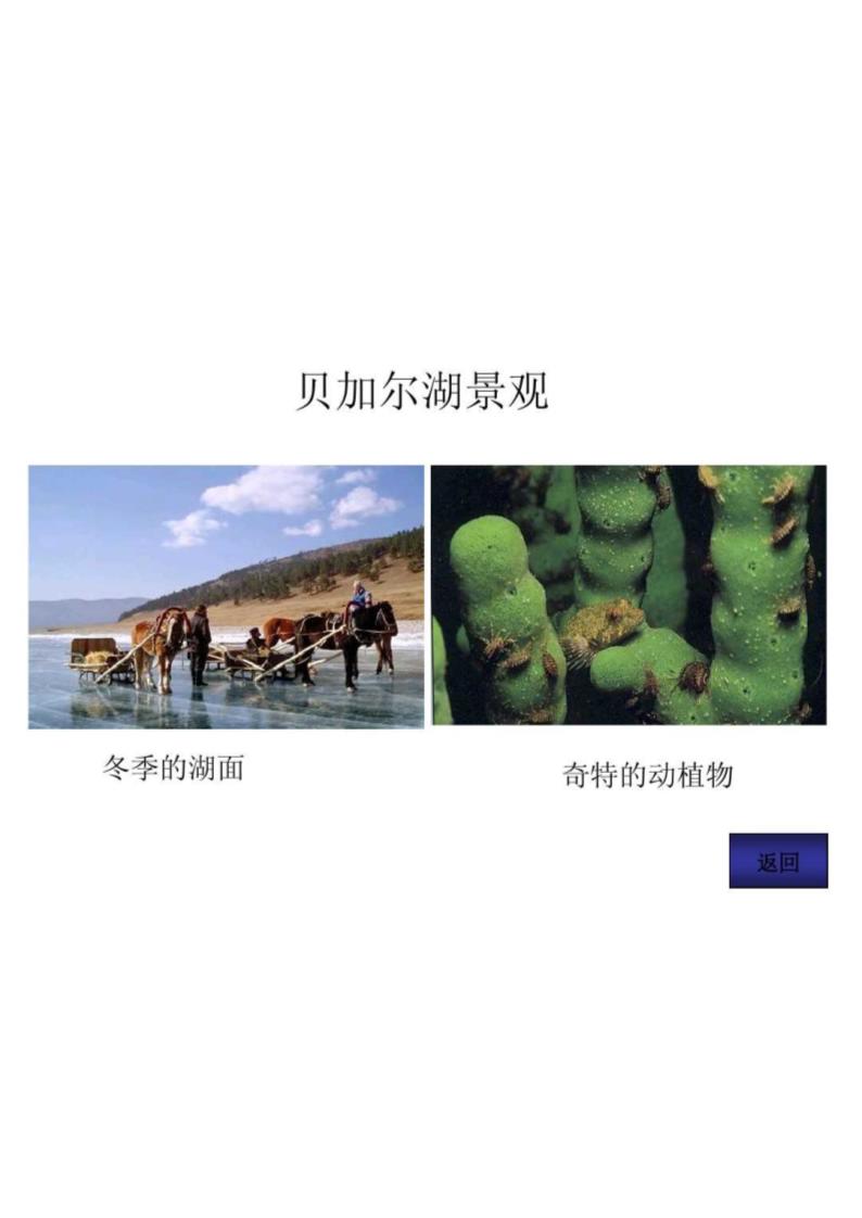 欧洲东部和北第48页