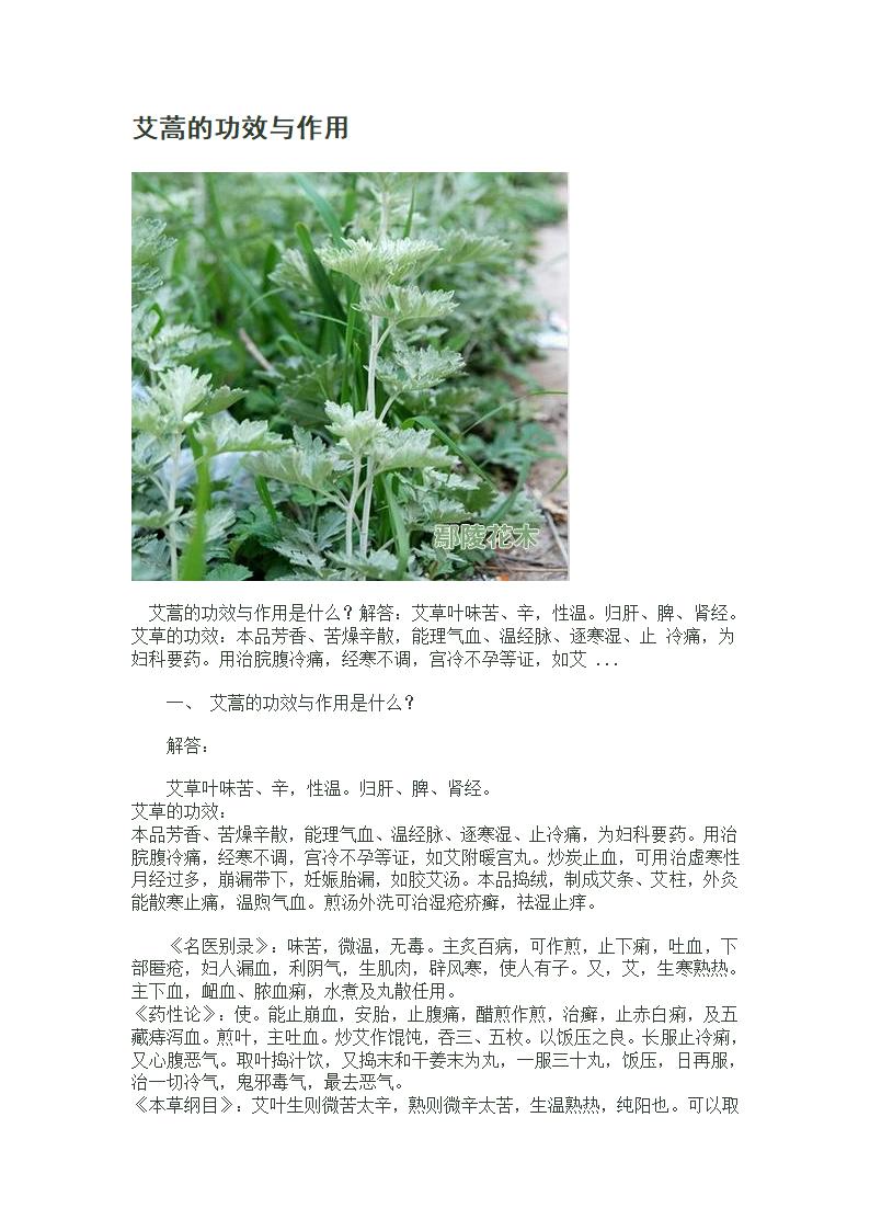 艾蒿的功效与作用第1页