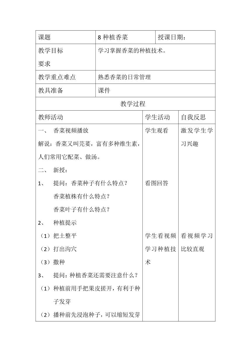 种植香菜 教案第1页