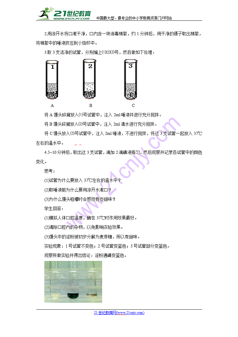 探究实验馒头在口腔中的变化 教案.doc第2页