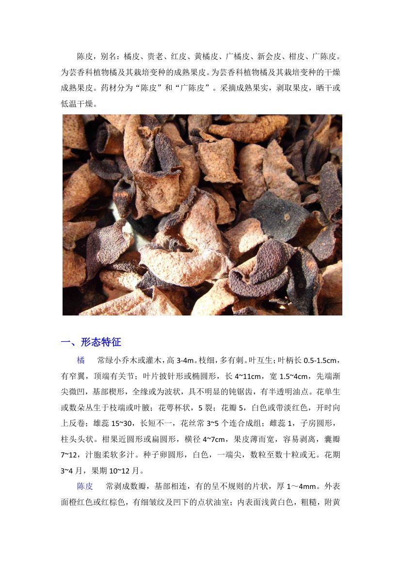 陈皮第1页