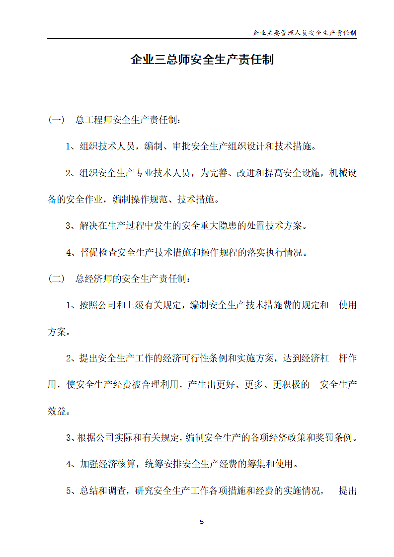 企业主要人员安全生产责任制材料.doc第6页