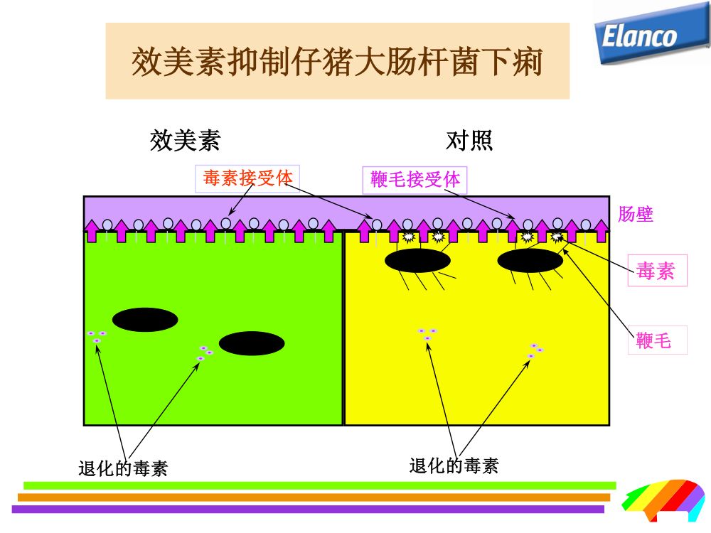 猪用药第14页