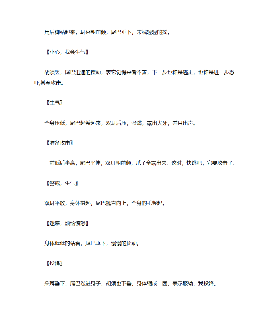 教你如何读懂猫猫的行为和语言第4页