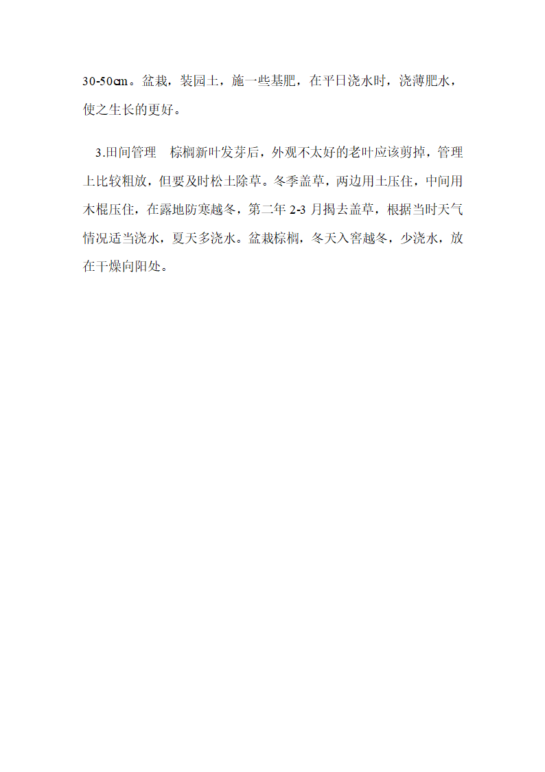 棕榈的栽培方法与技术要点第2页