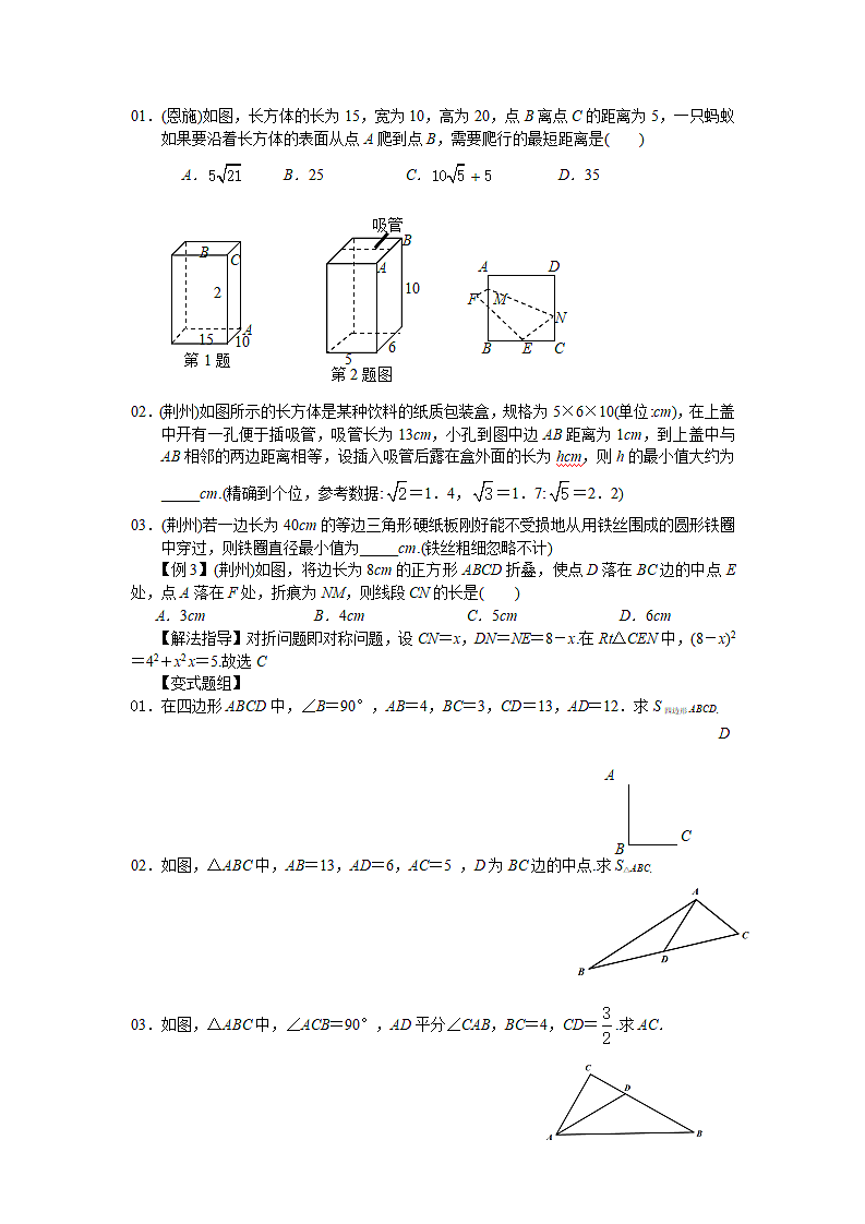 勾股定理考点专题训练第2页