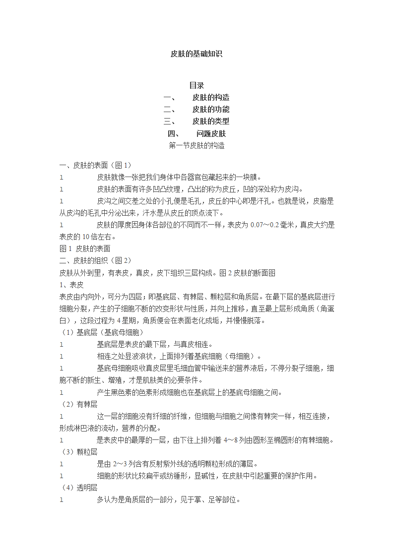 皮肤基础知识第1页