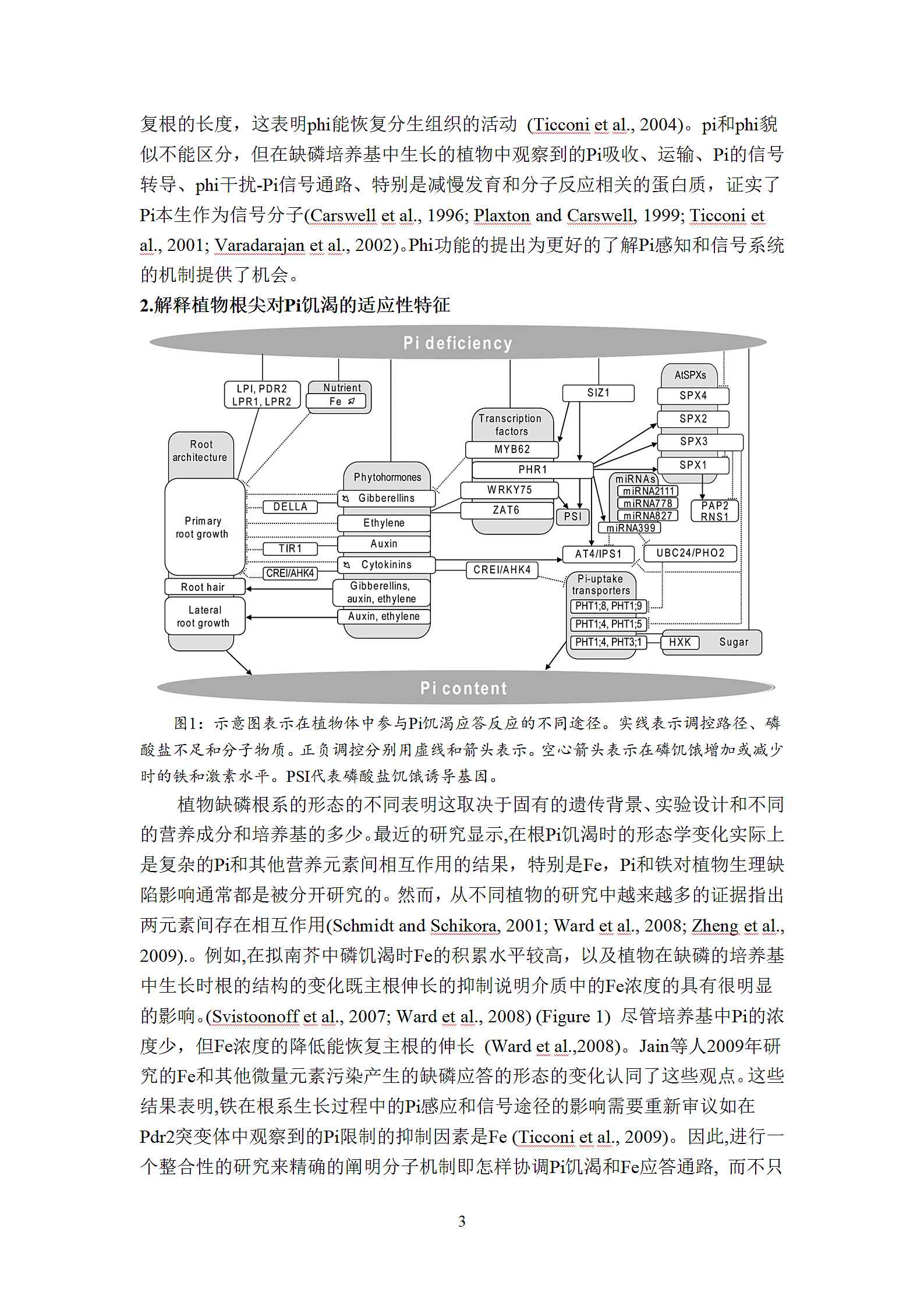 植物磷饥渴应答的遗传控制研究进展第3页